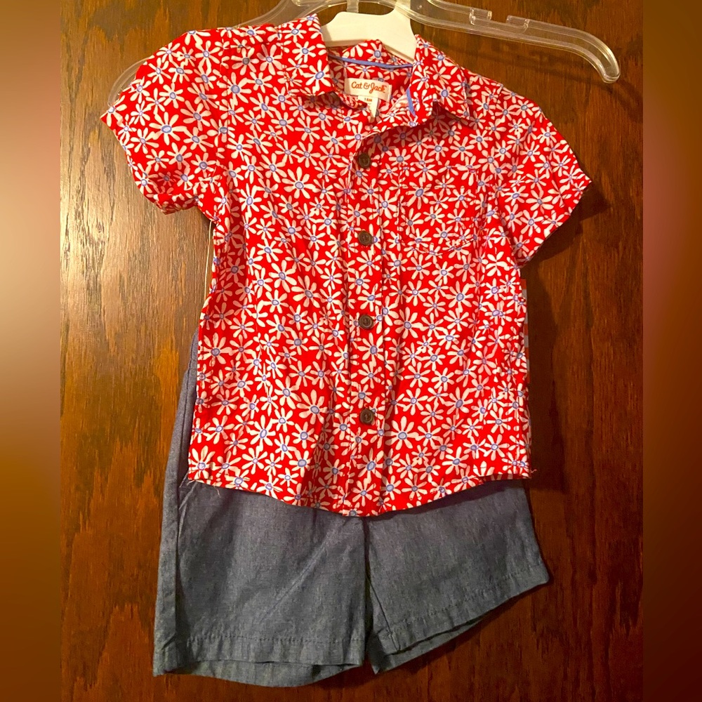 Toddler Boy Cat and Jack Summer Outfit